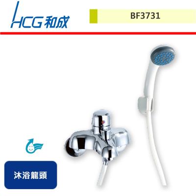 【HCG和成】沐浴龍頭-BF3731-無安裝服務